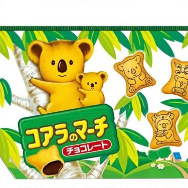 koala big pouch 1
